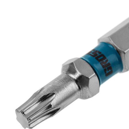 Набор бит  TORX 20х50, сталь S2, 10 шт //GROSS