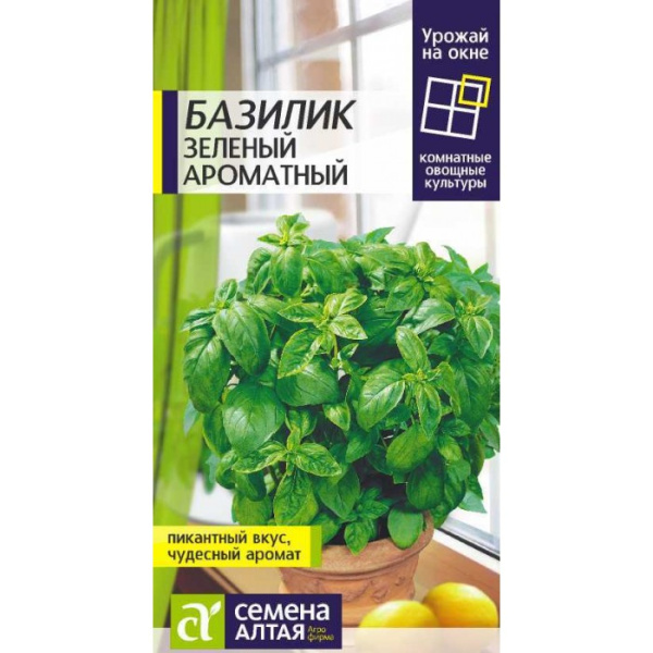 Семена Зелень Базилик Зеленый Ароматный/Сем Алт/цп 0,3 гр. УРОЖАЙ НА ОКНЕ