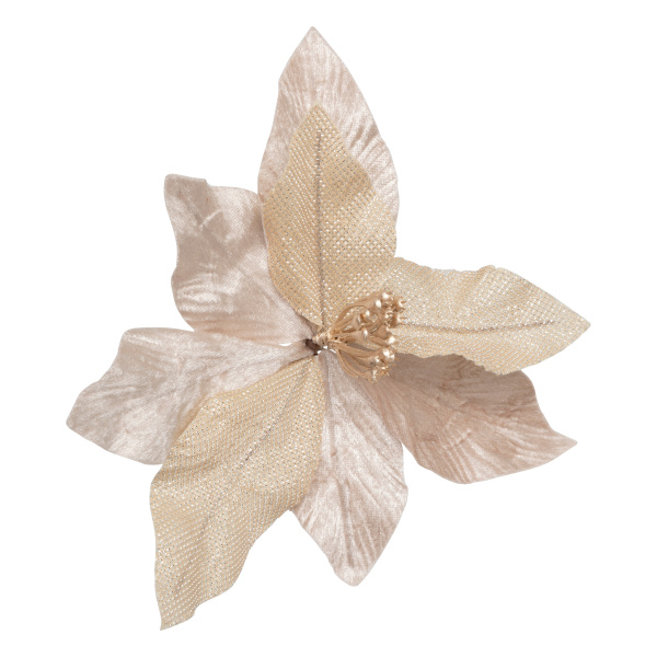 Пуансеттия Feeric 23 см шампань 192353