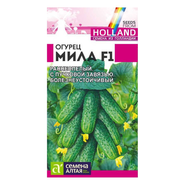 Семена Огурец Мила F1/Сем Алт/цп 5 шт. Seminis (Голландские Семена)