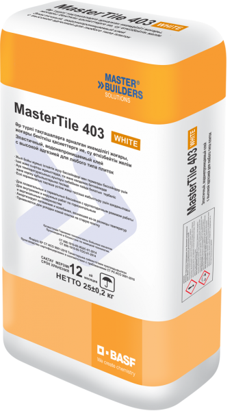 MBS Клей MasterTile FLX 403, водо-морозоуст.(для бассейнов) 25кг