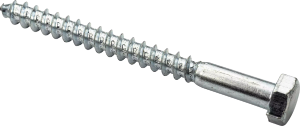 Болт сантехнический оцинк. DIN 571 10х160 (2 шт)