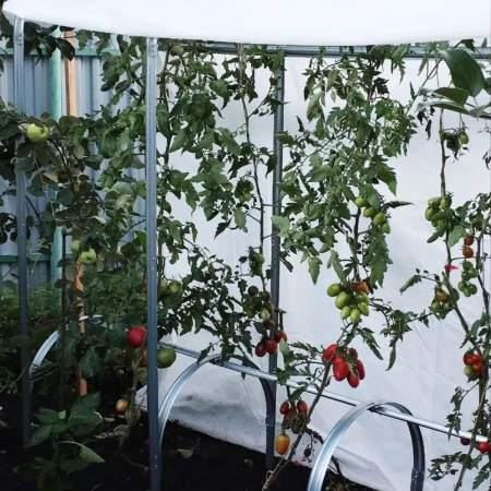 Парник ЧудоШпалера 167х266х57 см. тент Reifenhauser 50 г/м2