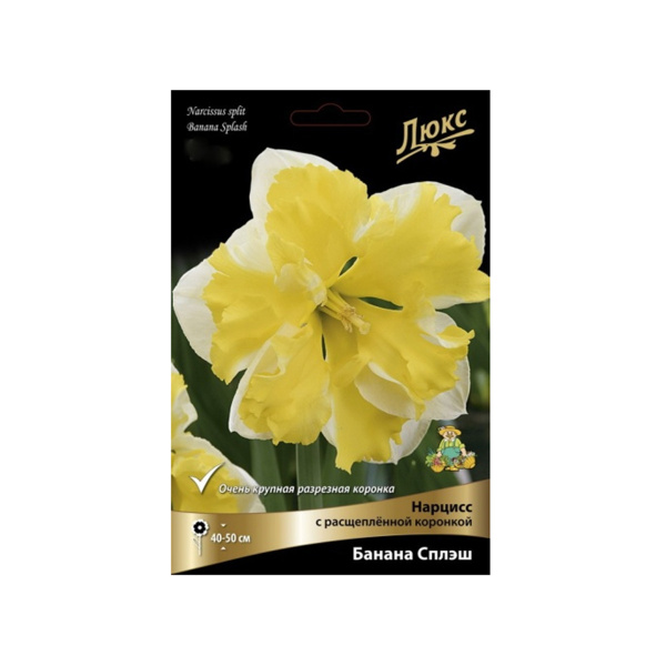 Луковицы Нарцисс с расщеплённой коронкой Банана Сплэш* 12-14/К 5шт