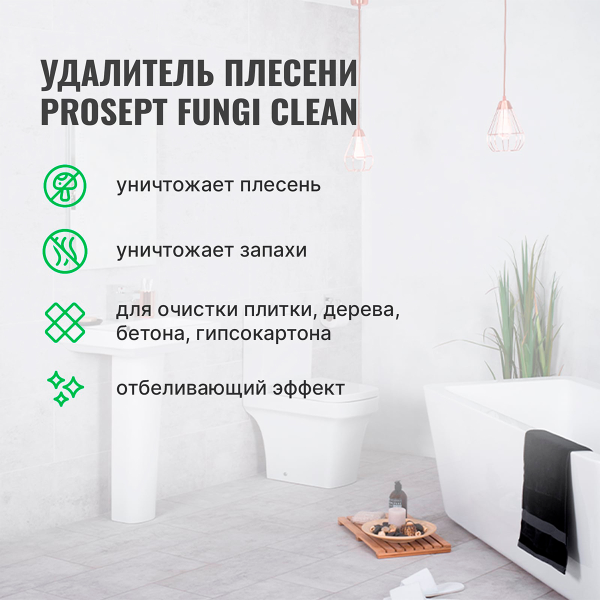 PROSEPT FUNGI CLEAN - Удалитель плесени концентрат 1:1, 1л.