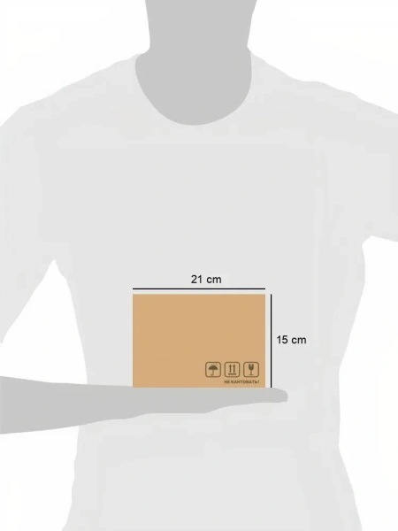 Опрыскиватель 3,0л Дачник помповый М7479
