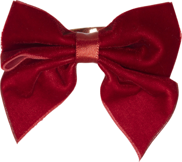 Набор колец для салфеток Atmosphera 2 шт красный вельвет 199190