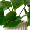 Растение искусственное в горшке scindapsus, lotus leaf, monstera 3 вида в ассортименте 808554 Kmg