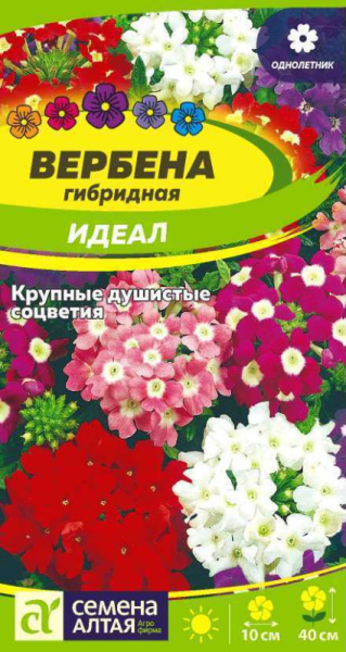 Семена Цветы Вербена Идеал гибридная/Сем Алт/цп 0,05 гр. (2029 / 4986)