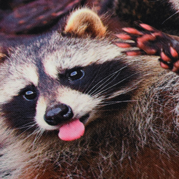 Коврик влаговпитывающий  "Velur"  50*80 см "Веселые еноты", "VORTEX" / 10