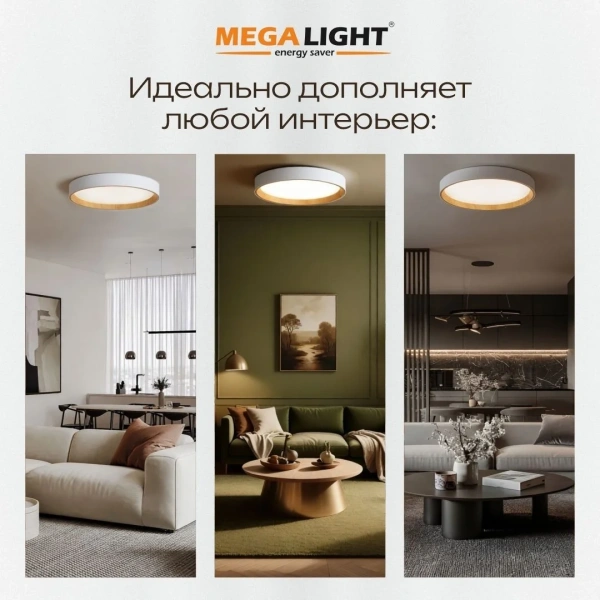 Светильник светодиодный накладной LED ДПО GURU (дерево) 48W 3600Lm d390x75 4000K IP20 MEGALIGHT (6)