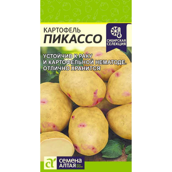 Семена Картофель Пикассо/Сем Алт/цп 0,02 гр. НОВИНКА!