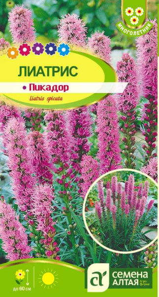 Семена Цветы Лиатрис Пикадор/Сем Алт/цп 0,1 гр.