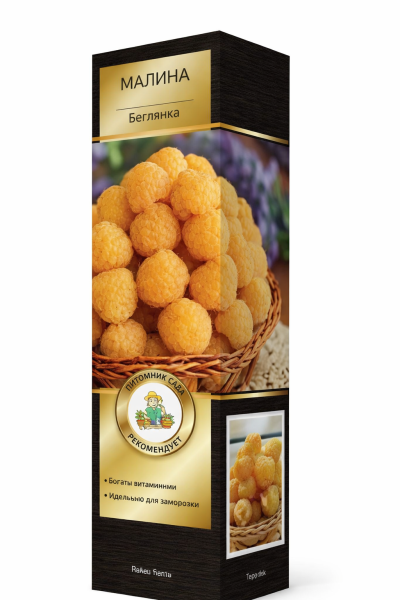 Саженцы Малина перспективные сорта Беглянка ЦКор