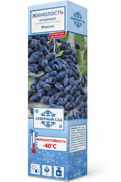 Саженцы Жимолость съедобная (Серия Северный Сад) Фиалка ЦКор