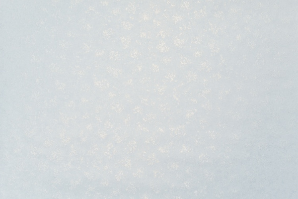 Обои 11274-05 Артекс Алтай винил горячего тиснения на флиз. Основе (10,05*1,06)(6)