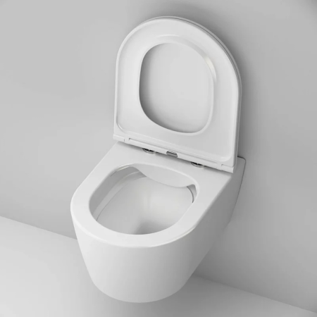 Унитаз подвесной AM.PM C8F1700SC Func 49 см FlashClean с сиденьем микролифт,