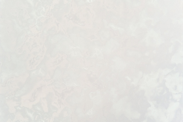 Обои Артекс 11421-05 Паулина-уни (10,05*1,06)(6) винил горячего тиснения на флизелине