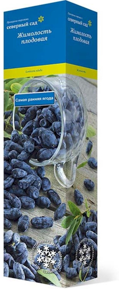 Саженцы Жимолость съедобная Бакчарский великан/ЦКор