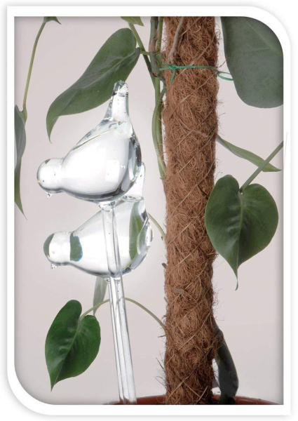 Автополив для домашних растений 2 шт. 6*10*40 см., стекло, дизайн птица, К