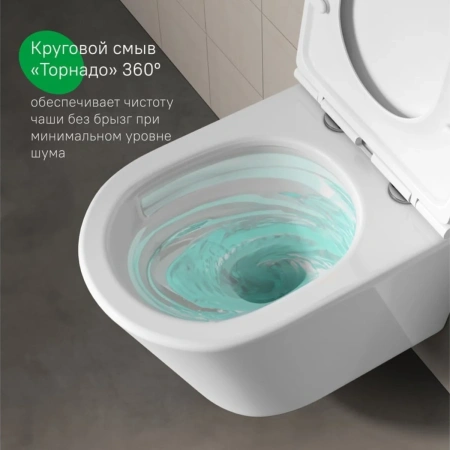 Унитаз подвесной безободковый, Ray, IDDIS, RAYRDSEi25
