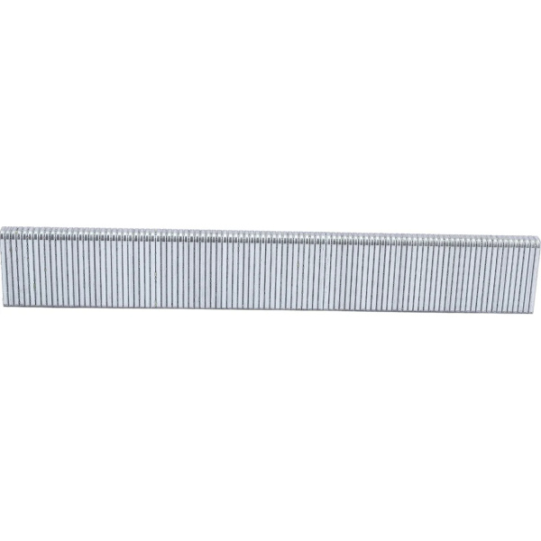 Скобы тип 18GA 19мм (2500шт) STARTUL PROFI (ST4520-19)